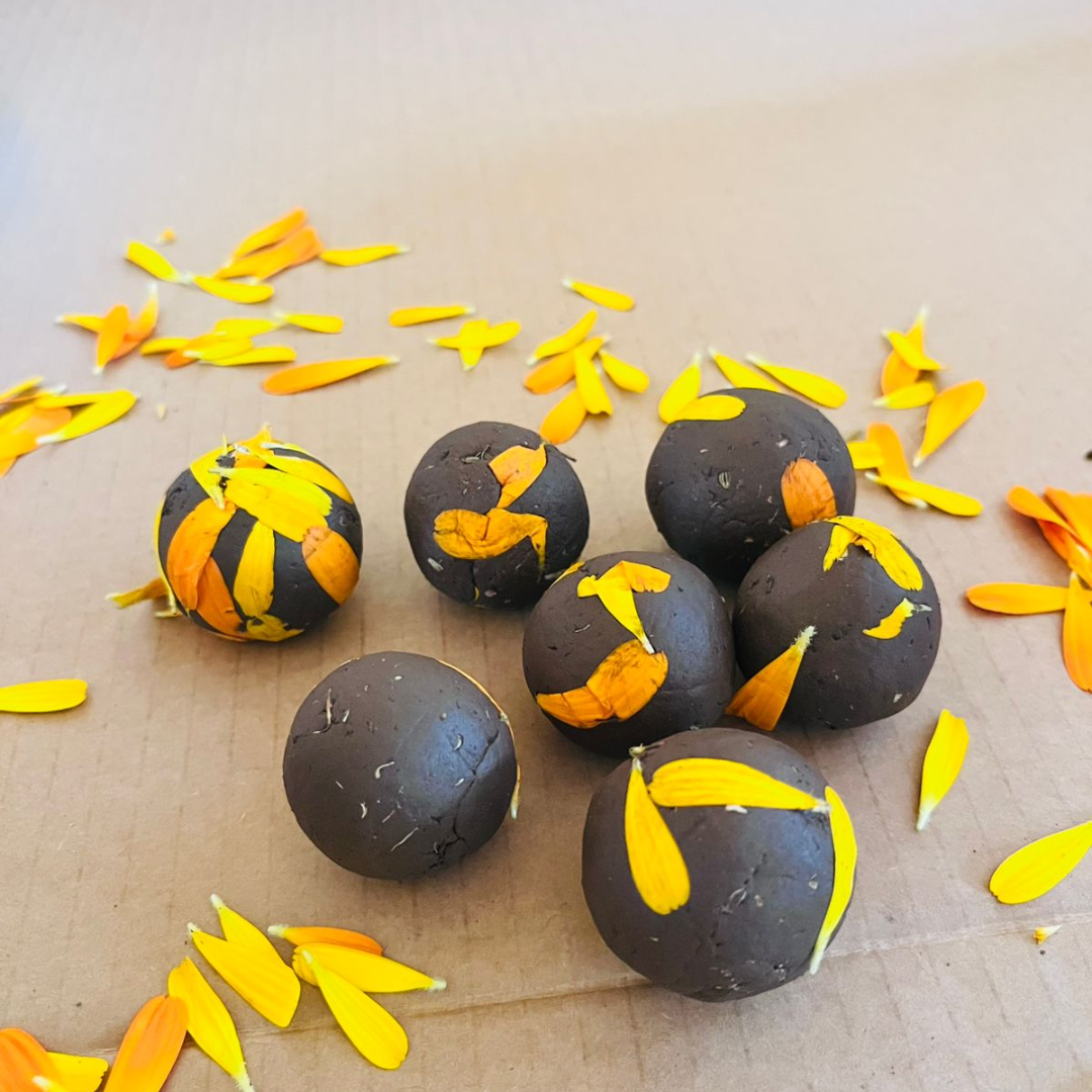 BOMBAS DE SEMILLAS (1)