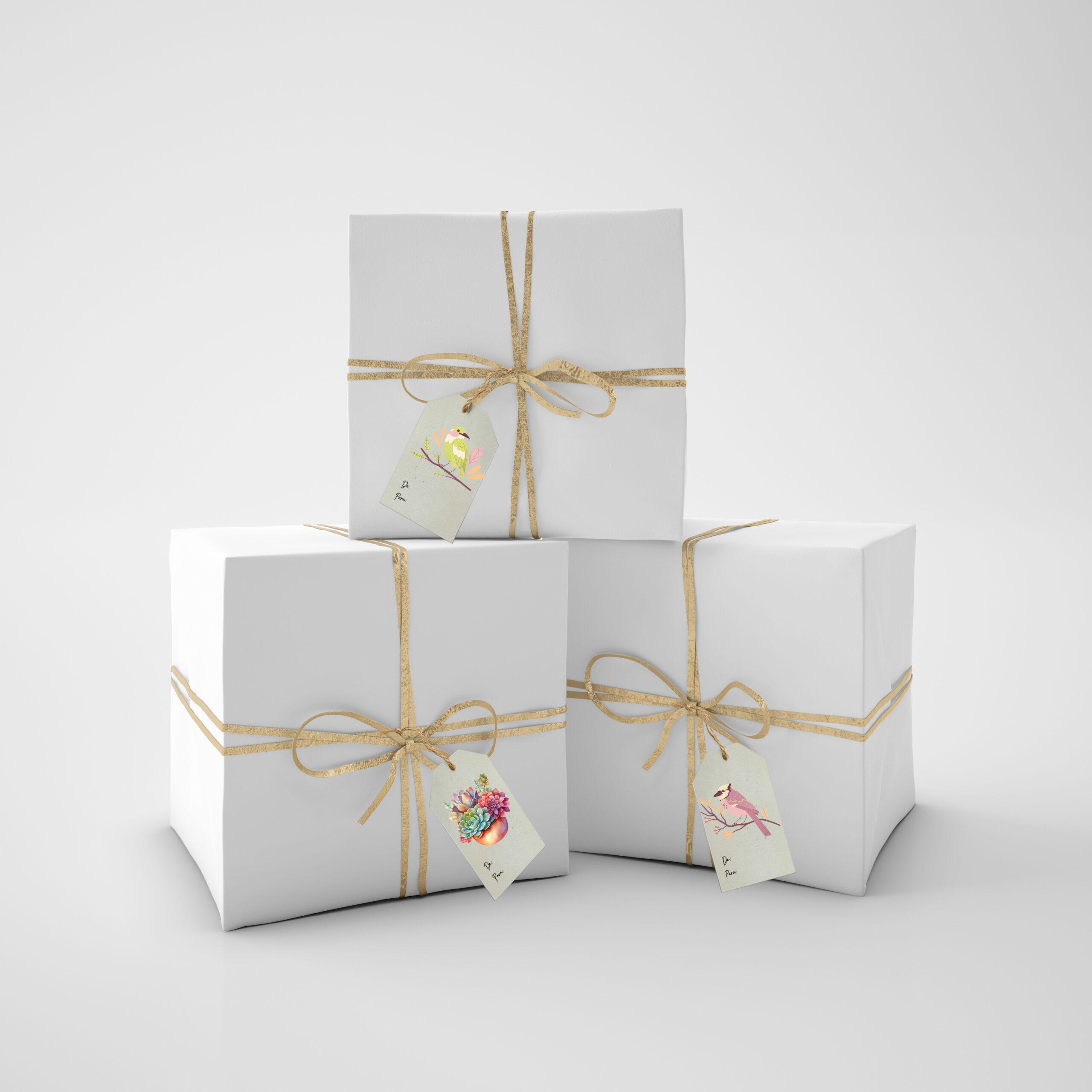 TARJETAS PLANTABLES