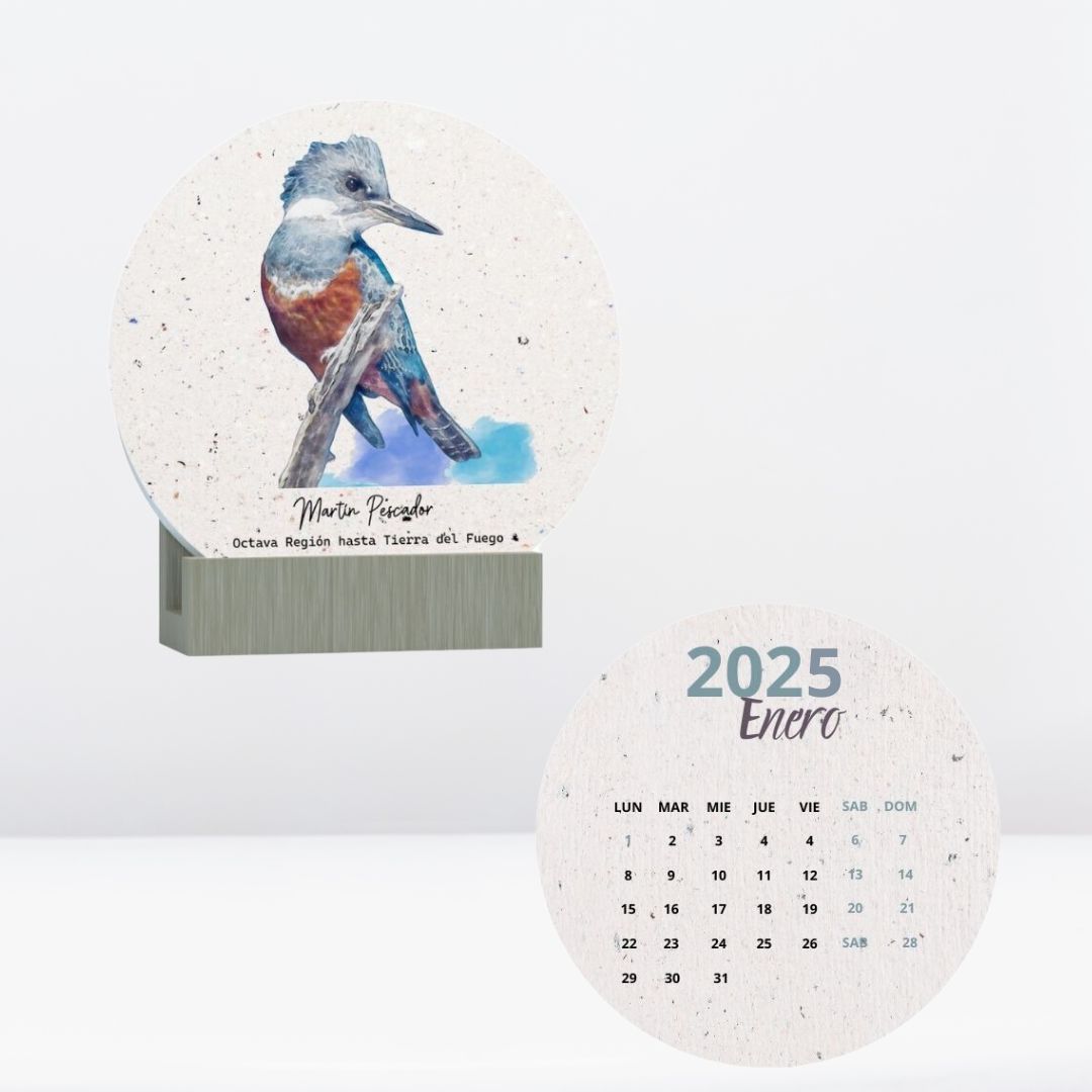 CALENDARIO PLANTABLE