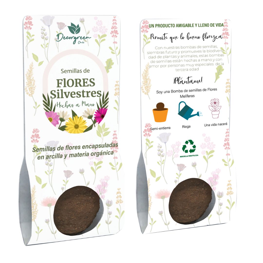 BOMBAS DE SEMILLAS DE FLORES-2