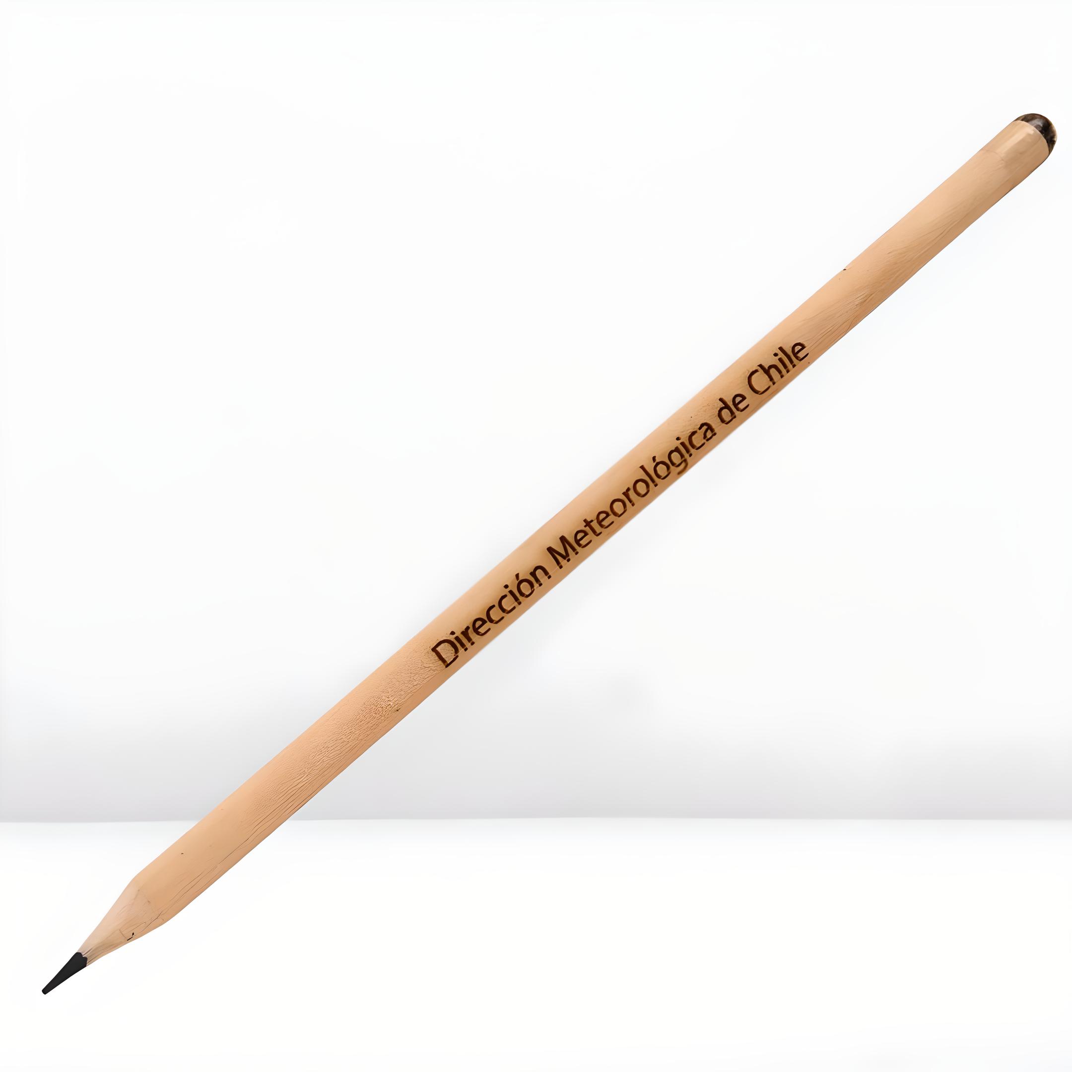 LAPICES CON SEMILLA-fotor-enhance-2025040595639