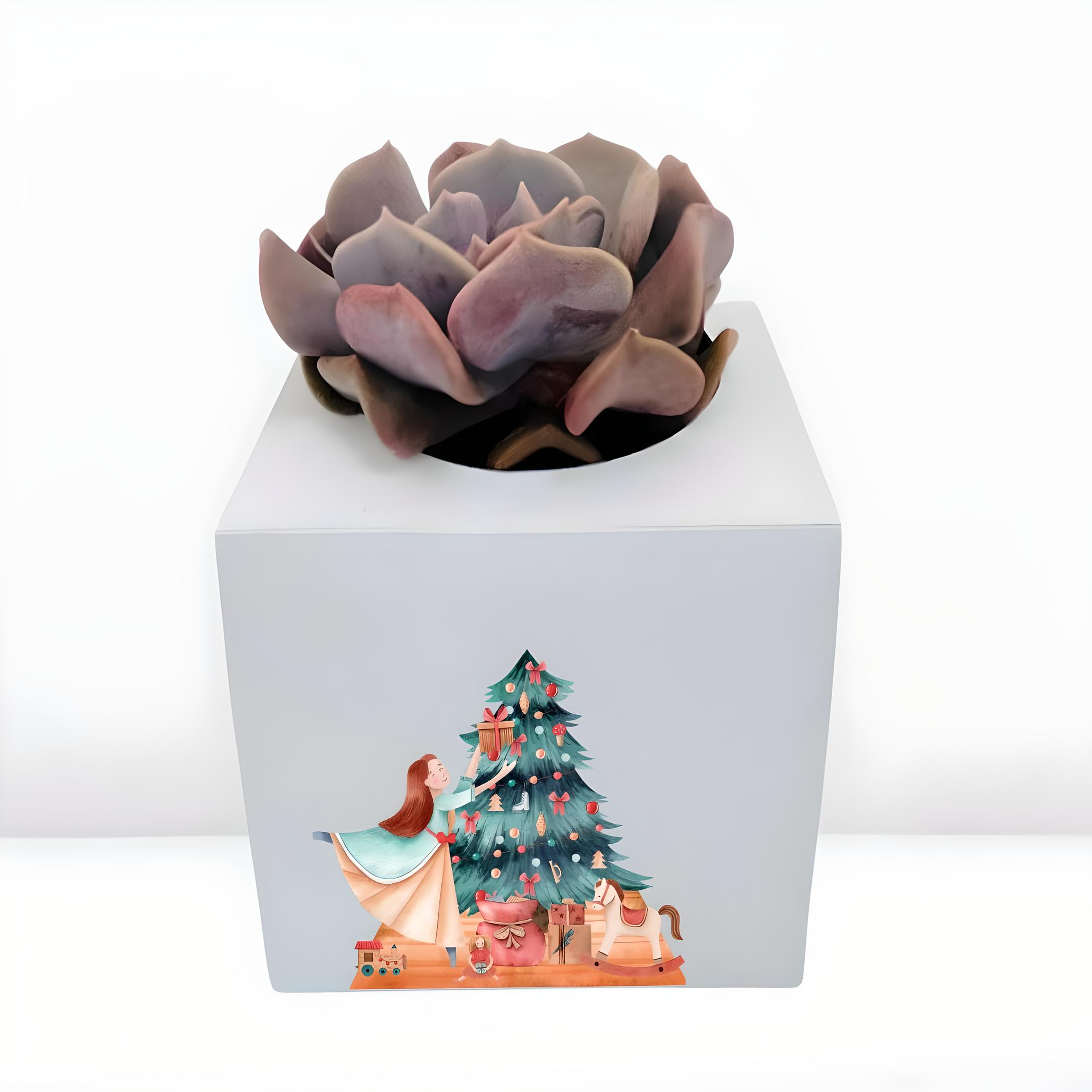 CUBO DE SUCULENTAS NAVIDAD (1)