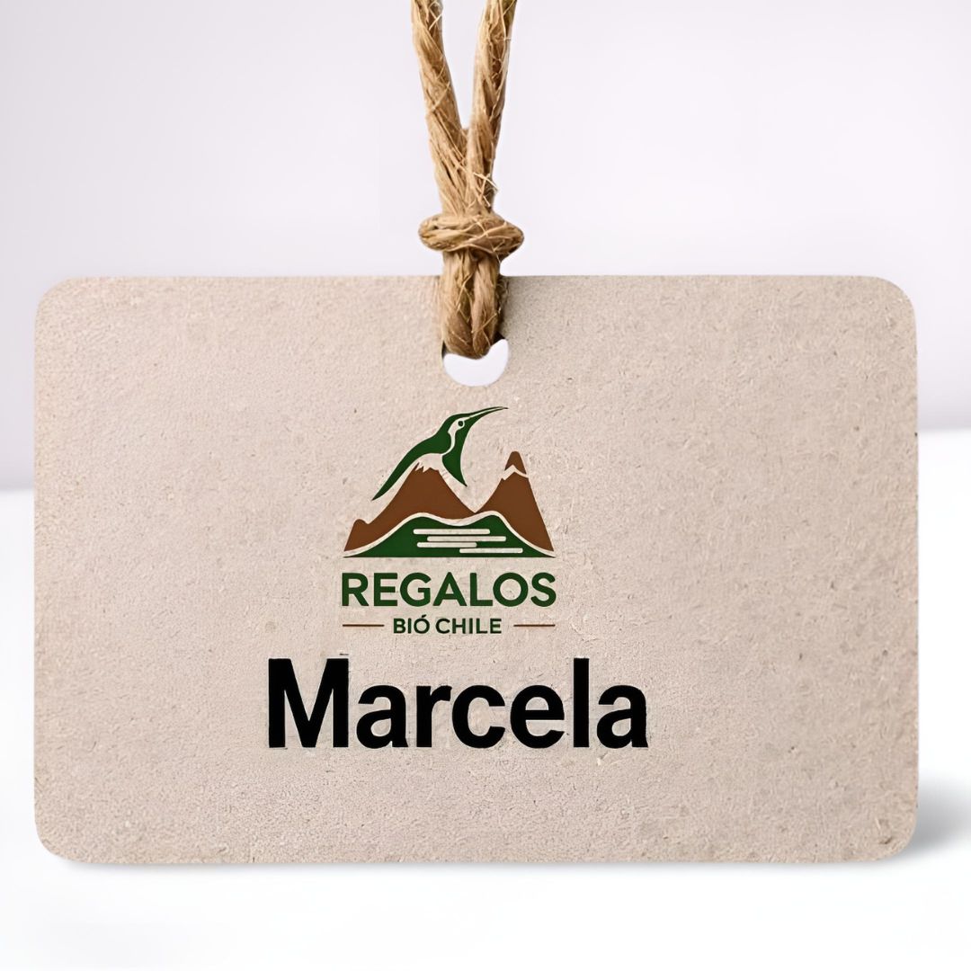 MINI CREDENCIAL-3