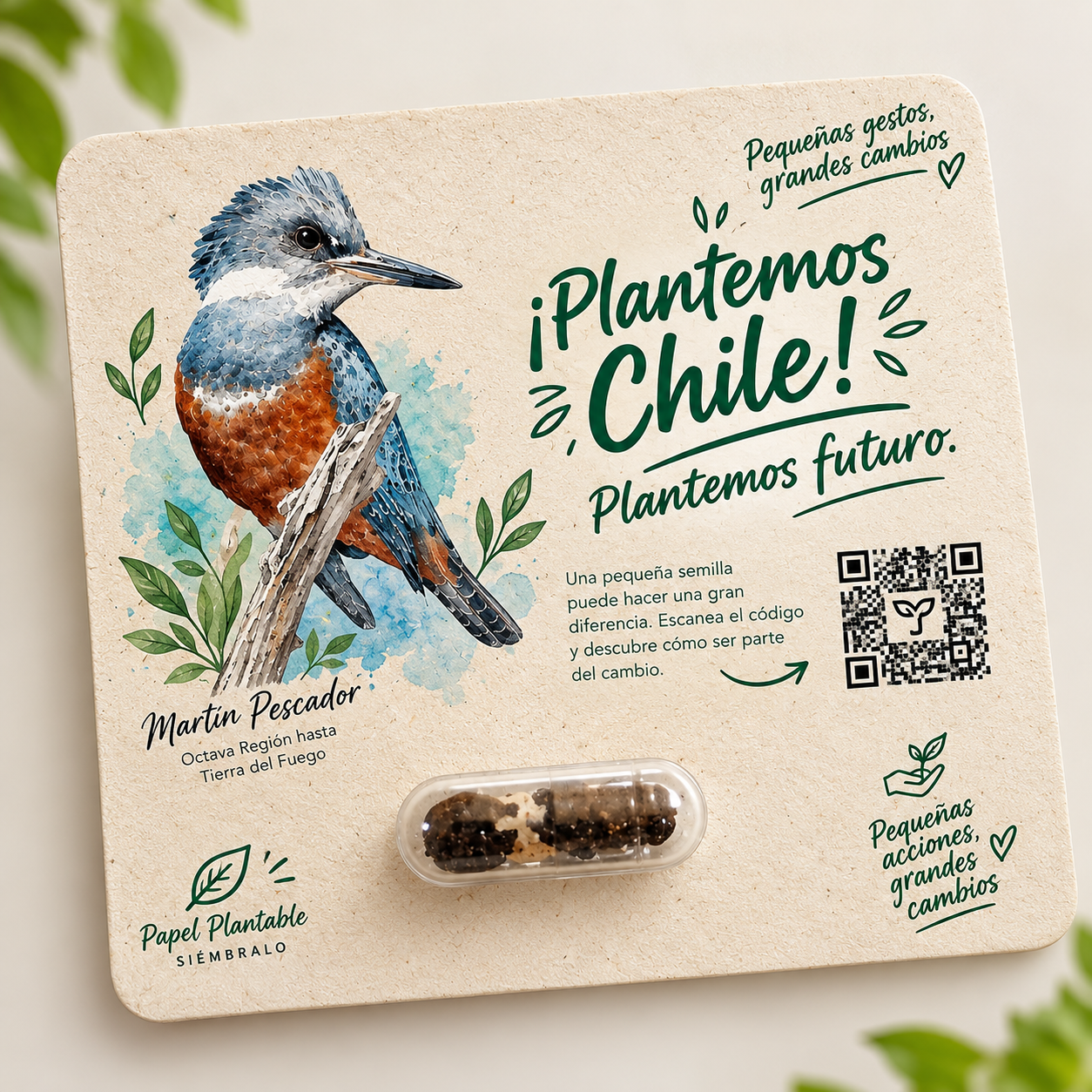 Blister pildora