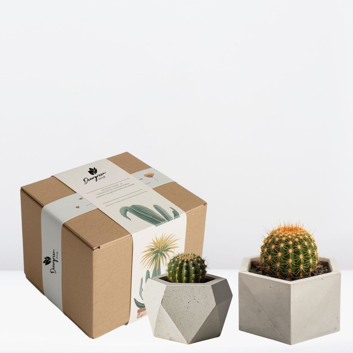 CACTUS PARA EL DIA DEL PAPÁ