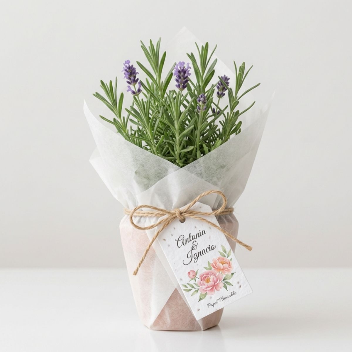 PLANTAS DE RECUERDO PARA MATRIMONIOS-2
